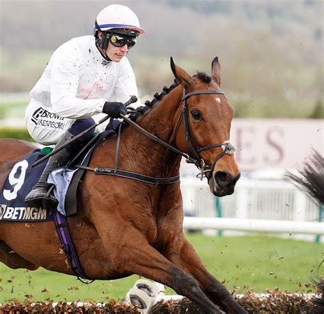 Cheltenham Festival 2024 reports, results and free video replays .